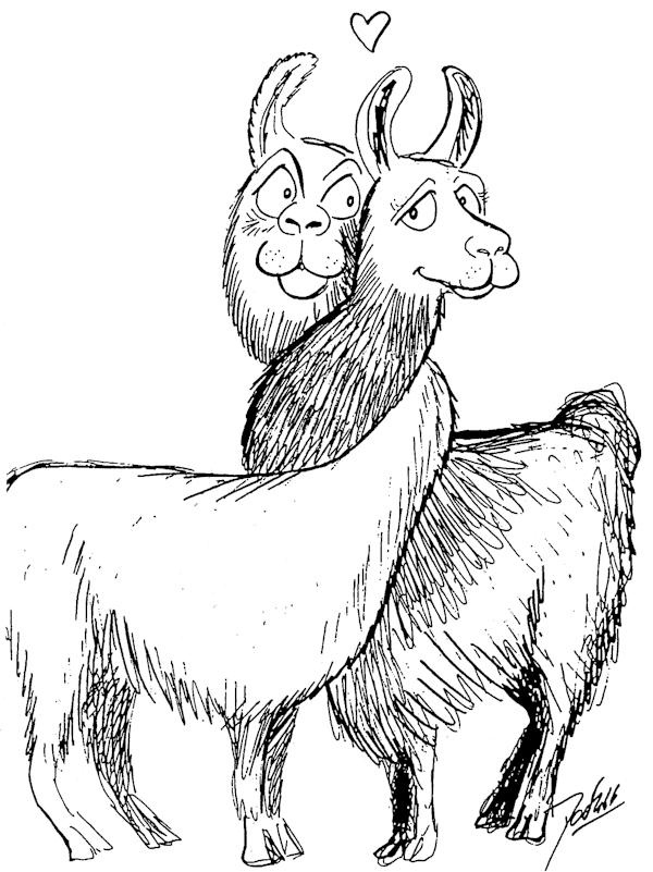 600x801 Drawn Llama