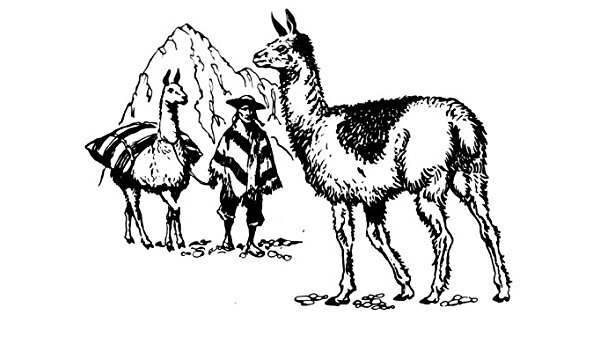 600x350 6 Inch X 4 Inch Greeting Card Line Drawing Llama Amazon.co.uk