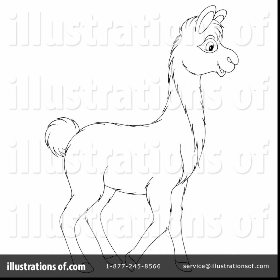 1126x1126 Remarkable Llama Clip Art Black And White With Llama Coloring