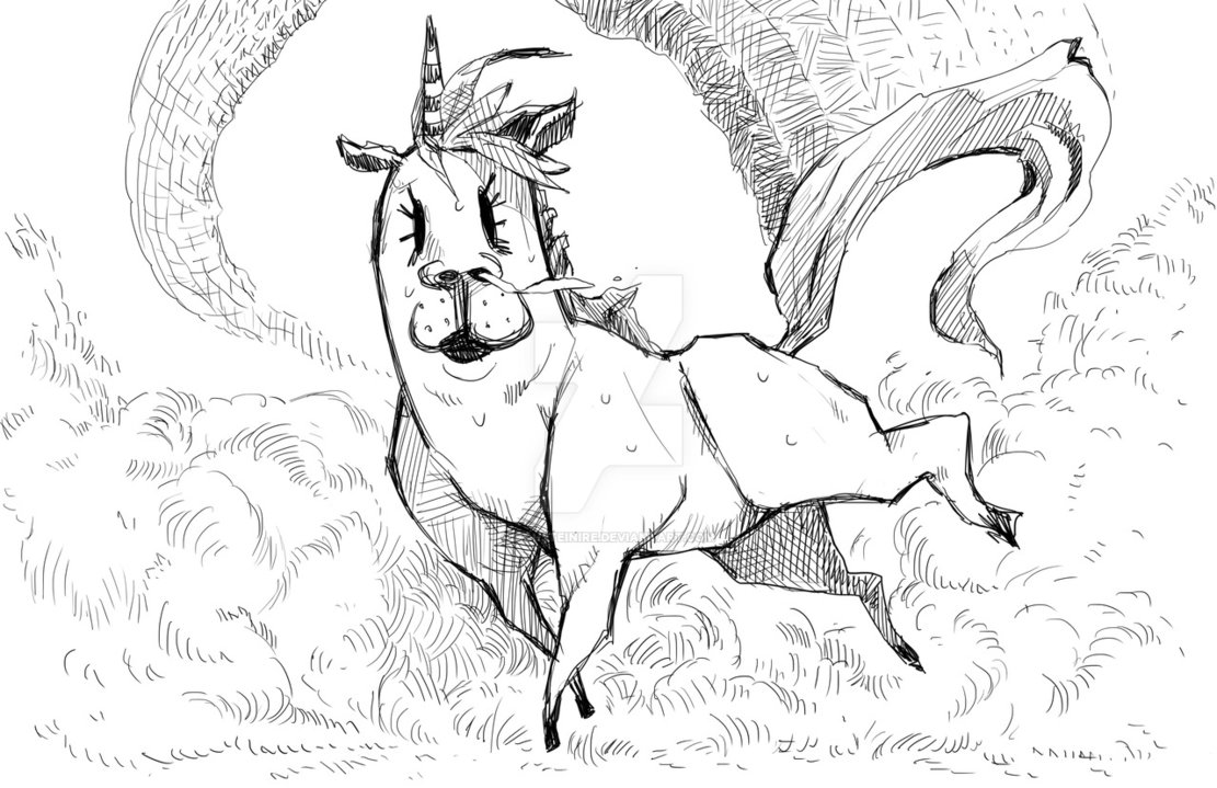 1111x719 Llamacorn By Rousteinire