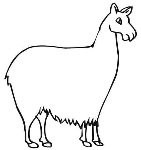 453x480 Llama South American Camelid Coloring Page Free Printable