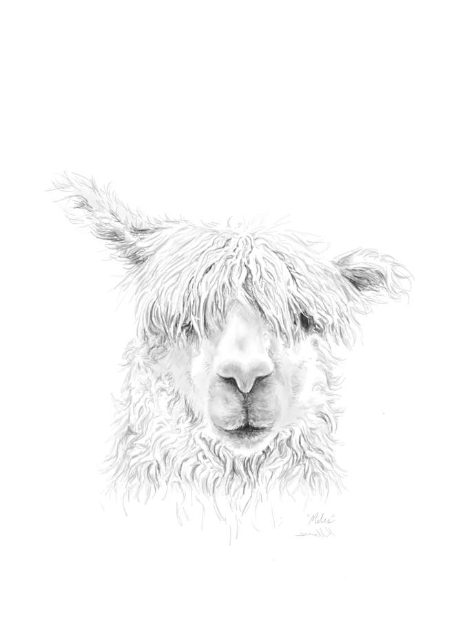 675x900 Miles Drawing By K Llamas