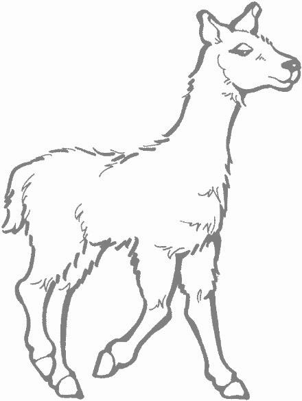 440x585 Top 46 Llama Clipart