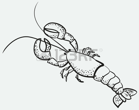 450x357 Sketch Of Big Appetizing Lobster Royalty Free Cliparts, Vectors