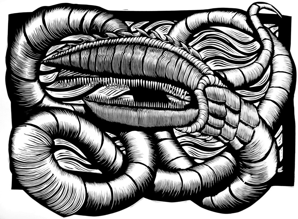 1000x734 Gardiner Printmaker Uses Lobster Claws To Talk Politics