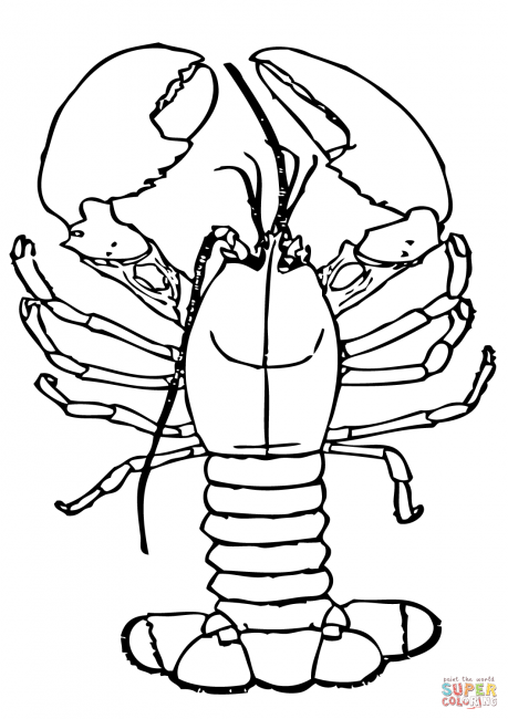 459x650 Lobster Coloring Pages L8 Nice Coloring Pages For Kids