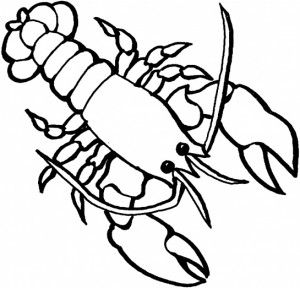 300x288 Lobster Coloring Page For Kids 2 Graphics, Appliques Amp Clip Art