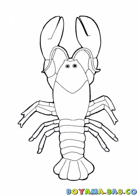 530x748 Free Printable Lobster Coloring Pages For Child
