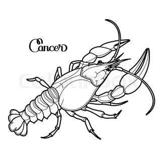 320x320 Graphic Vector Lobster Drawn In Line Art Style. Sea And Ocean