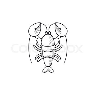 320x320 Lobster Sketch Icon For Web, Mobile And Infographics. Hand Drawn