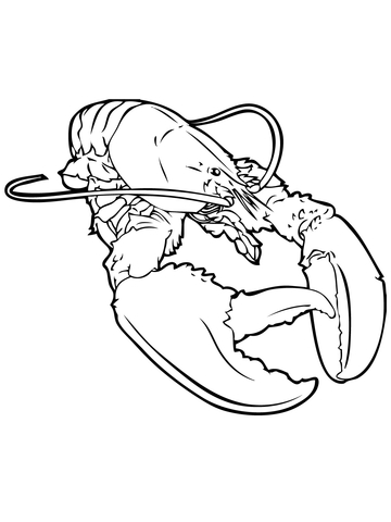 360x480 Realistic Lobster Coloring Page Free Printable Coloring Pages