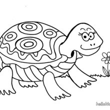 220x220 Loggerhead Sea Turtle Coloring Pages