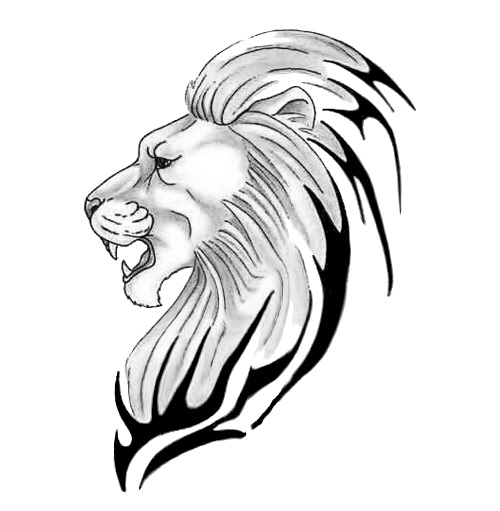 Loin Drawing