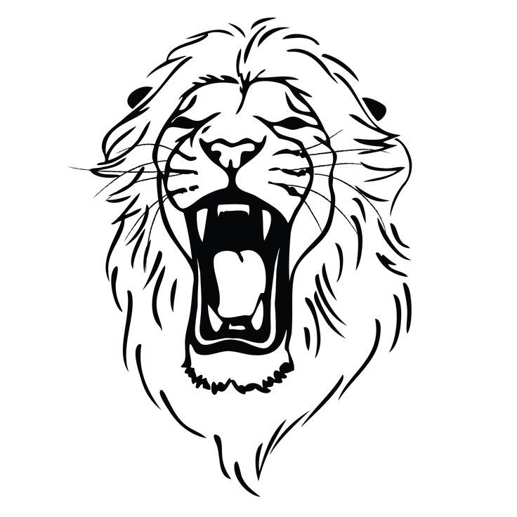 736x736 The Best Roaring Lion Drawing Ideas On Roaring