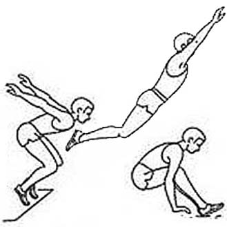 329x329 Exercise Gallery