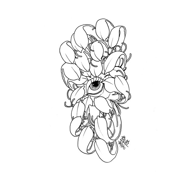 630x630 Chrysanthemeye2