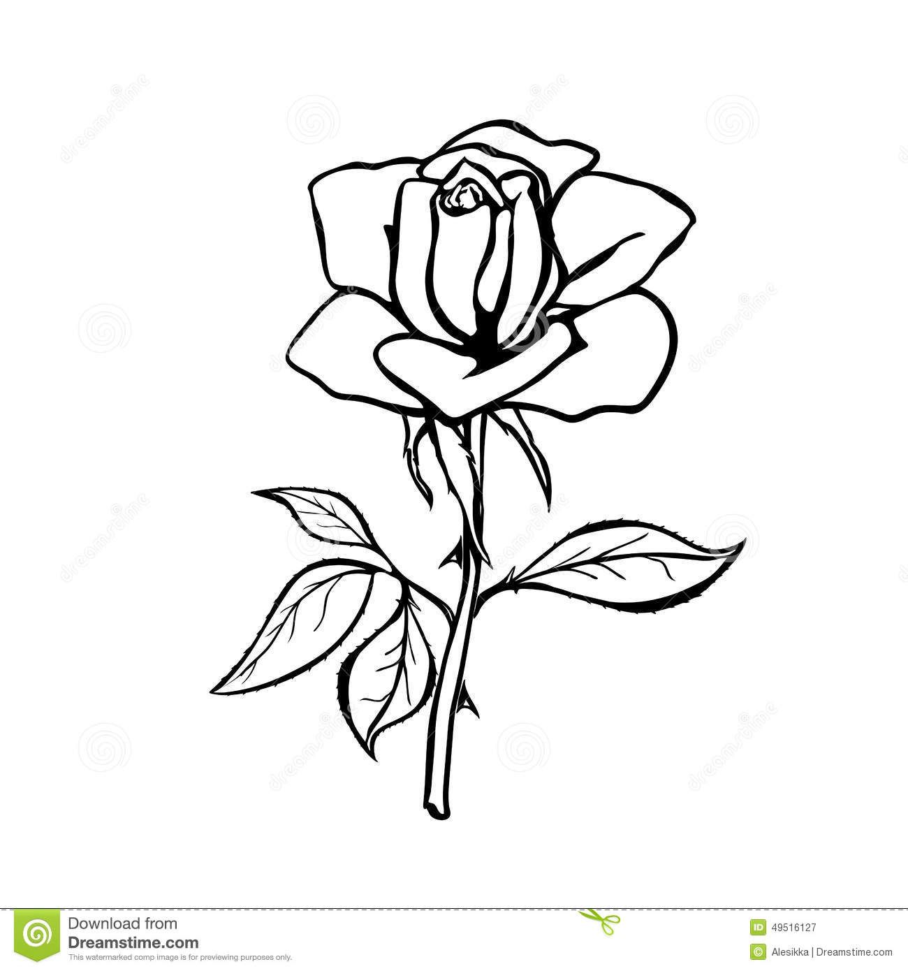 1300x1390 Realistic Rose Drawing Outline Drawing Rose