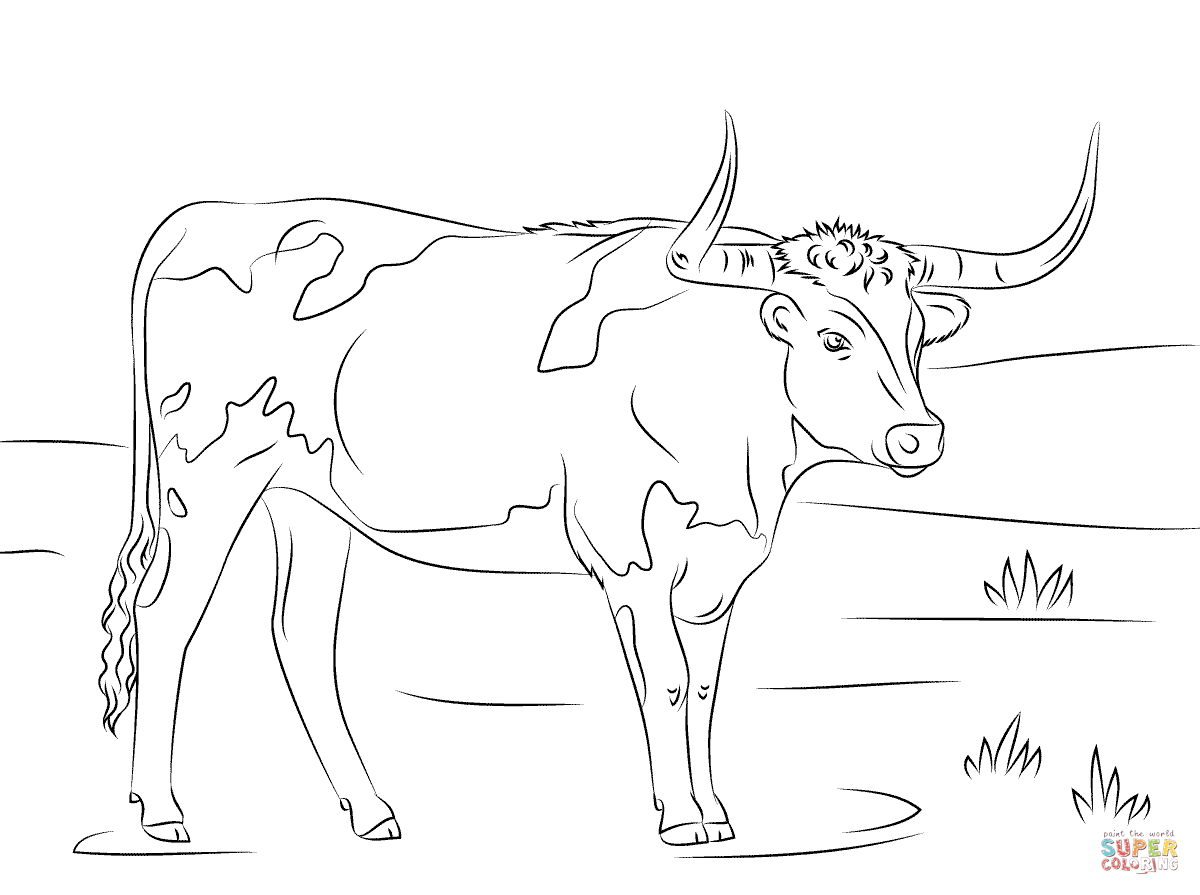 1200x895 Longhorn Coloring Page Free Printable Coloring Pages