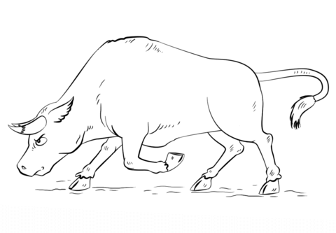 480x333 Cartoon Bull Coloring Page