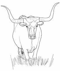 206x245 The Best Cow Face Paints Ideas On Cow Party