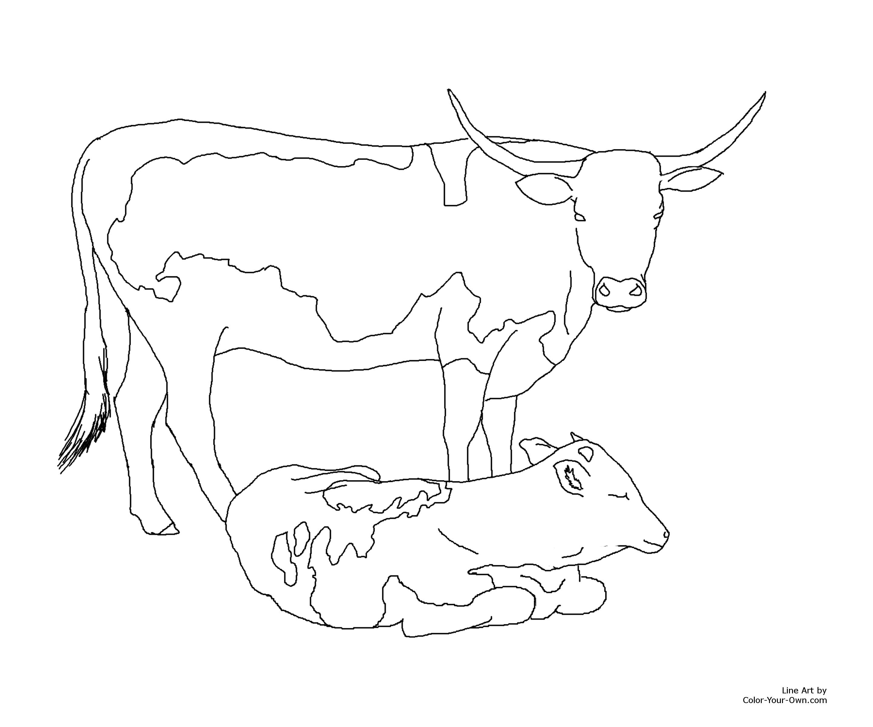 2880x2400 Coloring Page Of A Cow Free Draw To Color