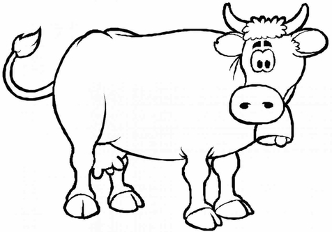 476x333 Longhorn Cow Coloring Page Image Clipart Images