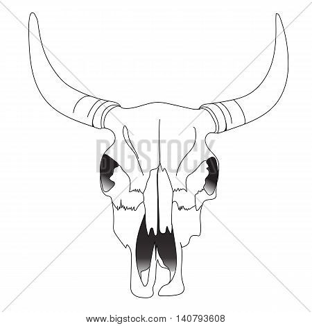 450x470 Cow Skull Images, Illustrations, Vectors