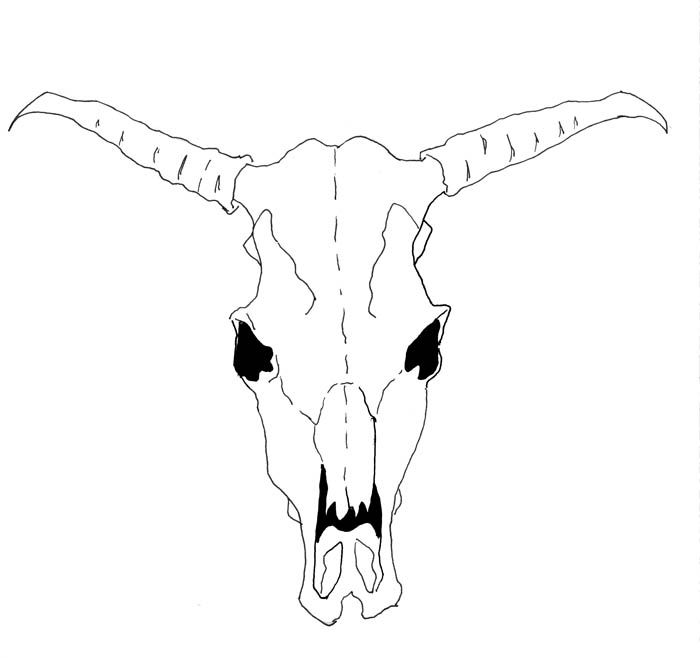 700x658 Drawn Cattle Sun