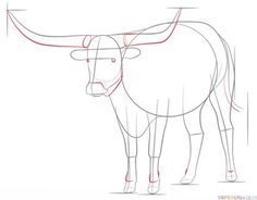 236x184 How To Draw A Longhorn Step By Step. Drawing Tutorials For Kids