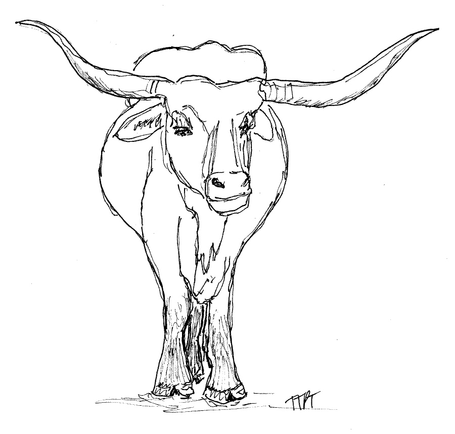 900x860 Animed Longhorns
