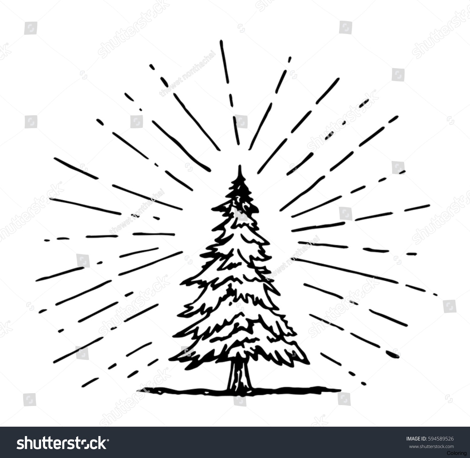 1500x1462 Simple Pine Tree Drawing 25 Best Ideas About Silhouette