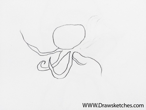 600x450 How To Draw An Octopus In A Few Easy Steps With Pictures