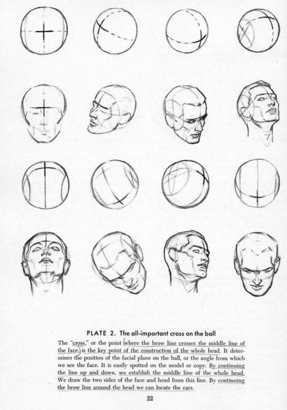 587x839 Drawing The Head And Face Part 2 Drawing Anatomy