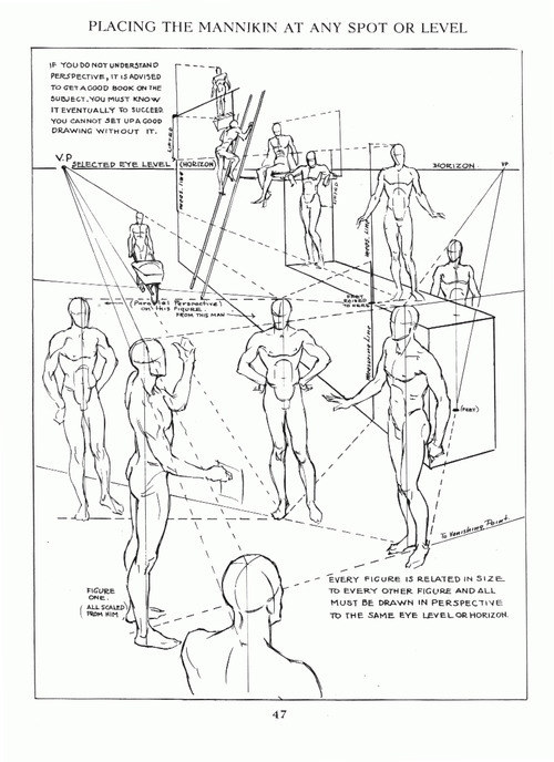 500x688 Diy 002 Human Anatomy Amp Figure Drawing