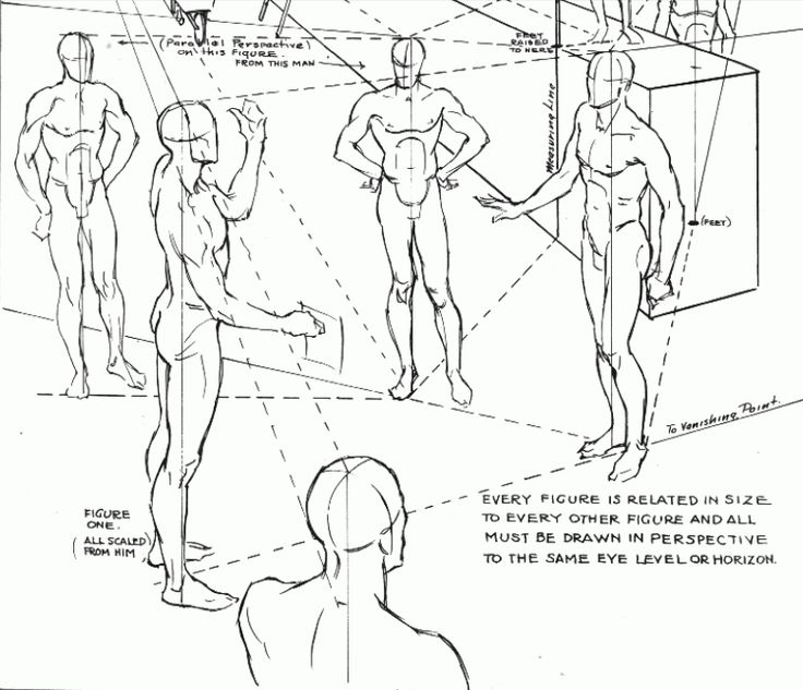 736x633 39 Best Figer Drawings Images On Figure Drawing