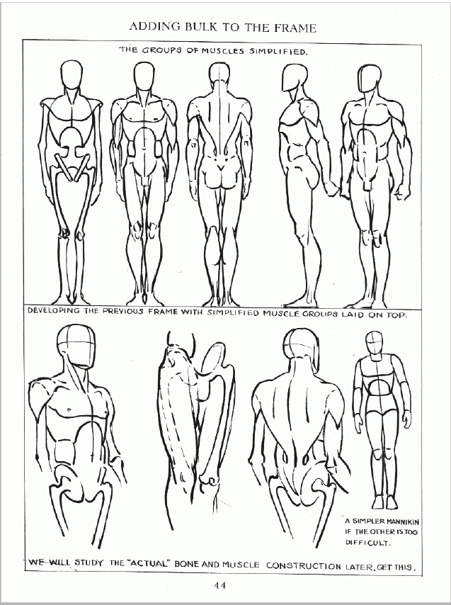 637x854 Male Figure Drawing Natasha Crowley