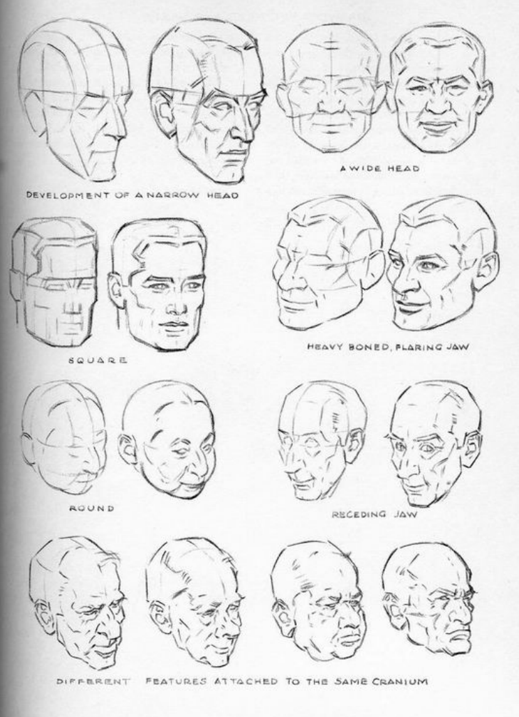 Loomis Head Drawing at GetDrawings | Free download