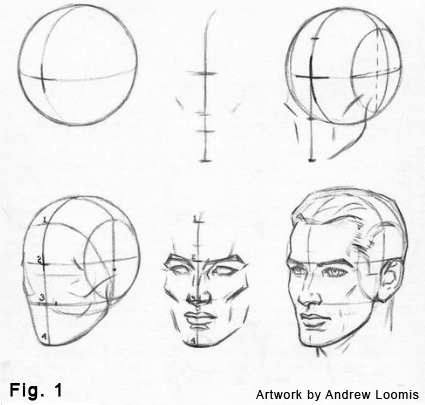 425x405 Free Download How To Draw A Head Step By Step Andrew Loomis
