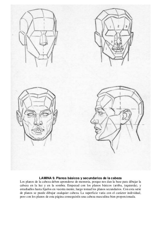 638x903 17 Best Referencia Cabeza Loomis Images On Faces,