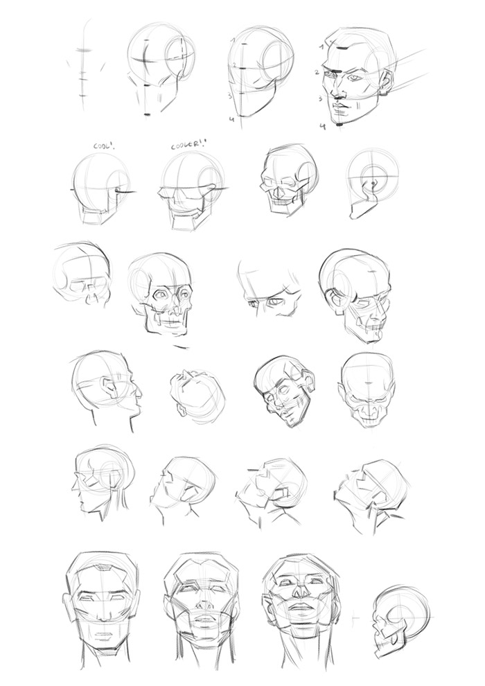 Loomis Head Drawing at GetDrawings | Free download