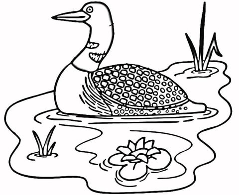 480x392 Loon In The Lake Coloring Page Free Printable Coloring Pages