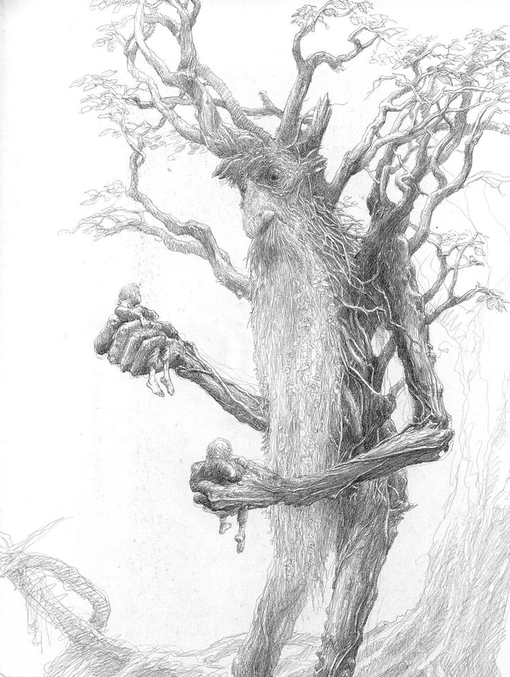 730x970 Treebeard Cool Art (Adult)