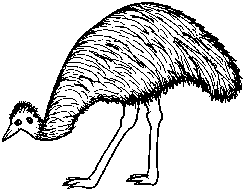 246x191 Australian Scratch Ticket News