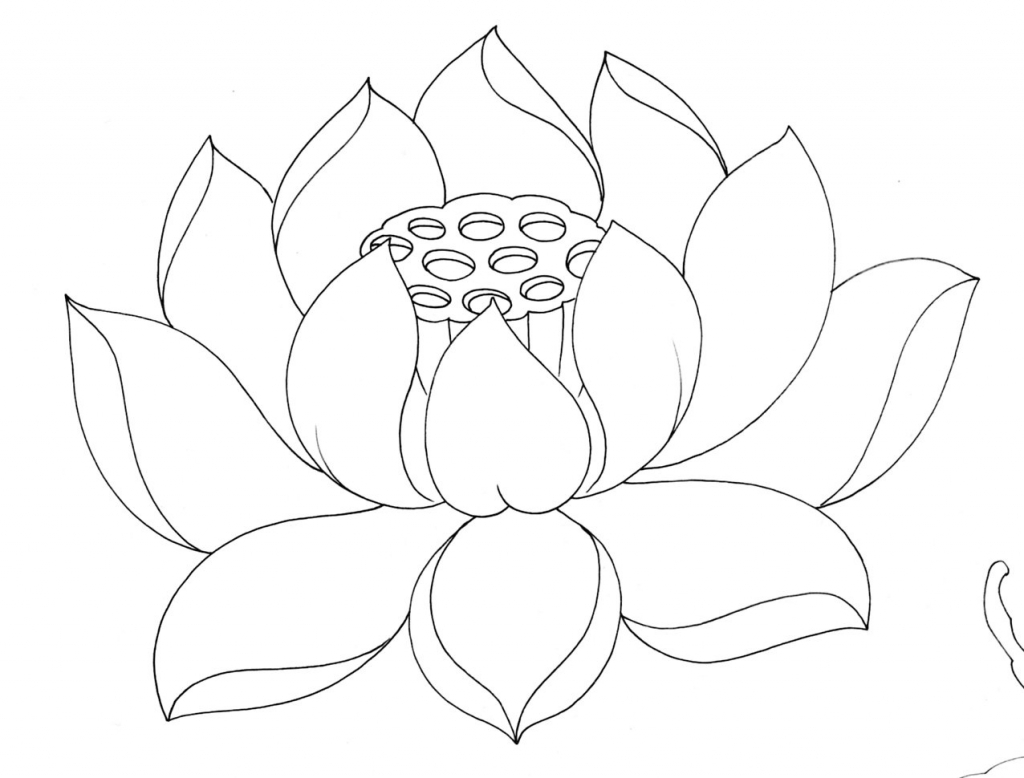 1024x778 Lotus Flower Drawing Tattoo Designs Gallery Lotus Flower Drawing