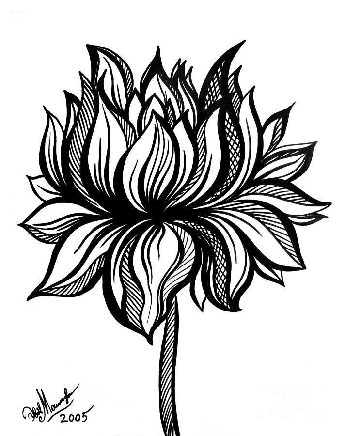 712x900 Lotus Flower. Black White Drawing Drawing By Sofia Metal Queen