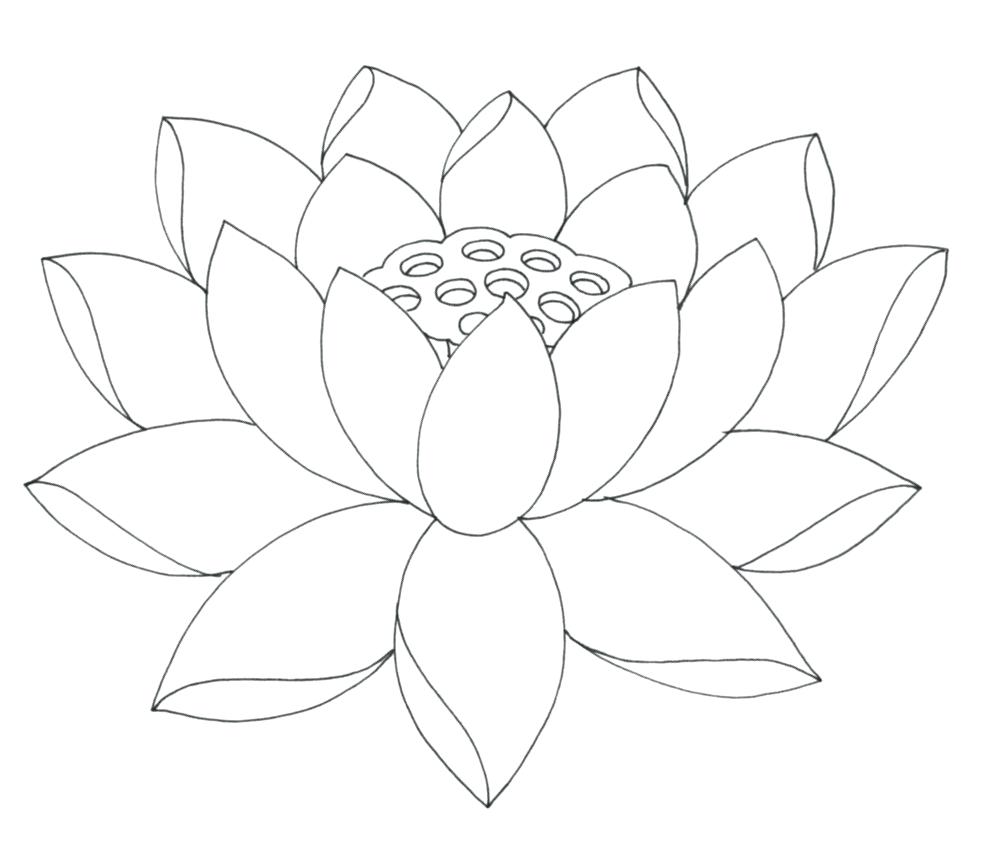 988x863 Coloring Pages ~ Flower Coloring Pages Printable Lotus With Leaf