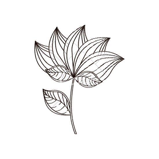 550x550 Lotus Flower Decoration Sketch