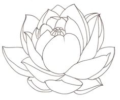 236x196 Gallery Lotus Beautiful Drawing,