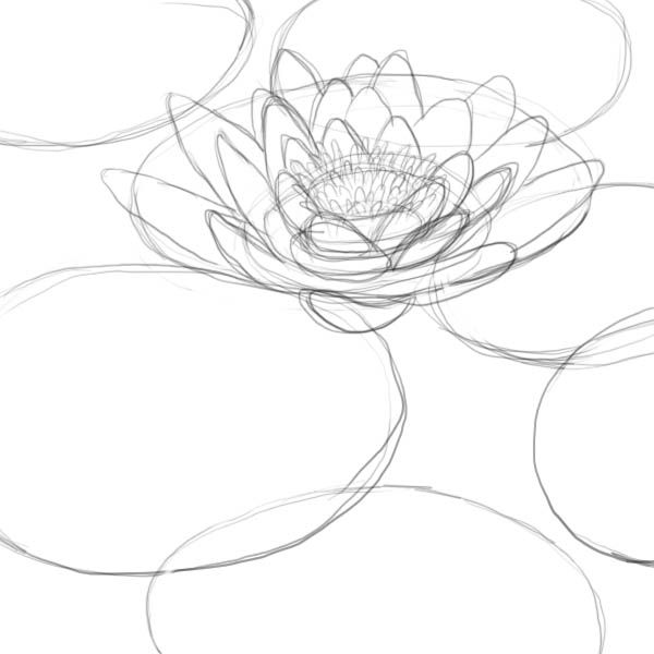 600x600 How To Draw A Lotus, Water Lily Skills And Hobbies