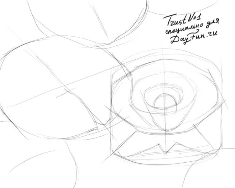 750x600 How To Draw Lotus Step By Step